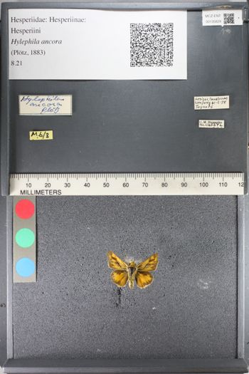 Media type: image;   Entomology 135829
